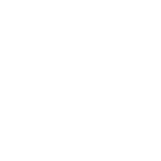 The image is completely blank with a white background and no visible objects or text.