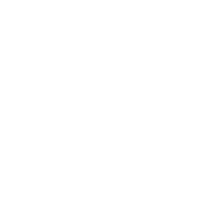 The image is completely blank with a white background and no visible objects or text.