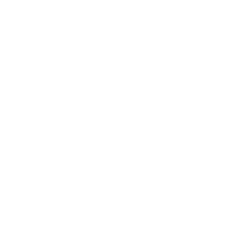 The image is blank with a plain white background and no visible objects, text, or features.