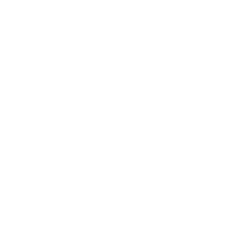 The image is blank with no visible content or distinguishing features.