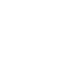 The image is completely blank with a white background and no visible objects or text.